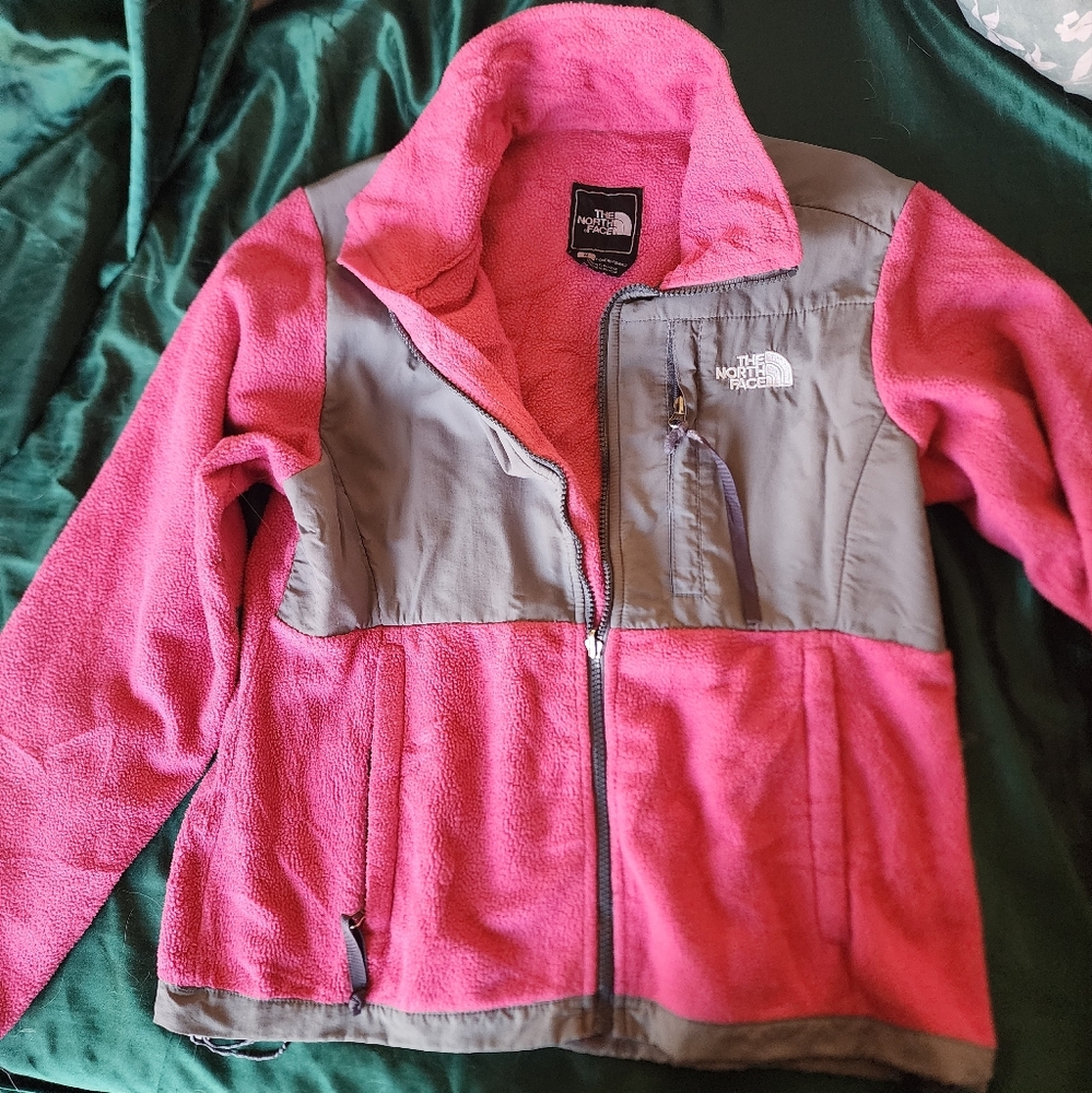 The north face sweater